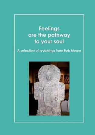 Feelings are the pathway to your soul by Daniel Perret 9782810623464