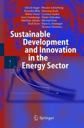 Sustainable Development and Innovation in the Energy Sector by Ulrich Steger 9783642062049