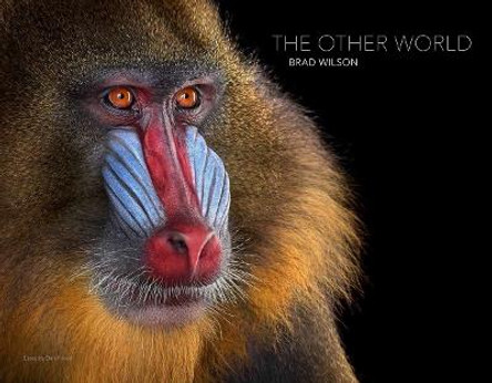 The Other World: Animal Portraits by Brad Wilson