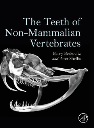 The Teeth of Non-Mammalian Vertebrates by Barry K. B. Berkovitz 9780128028506