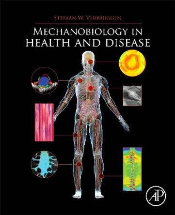 Mechanobiology in Health and Disease by Stefaan Verbruggen 9780128129524