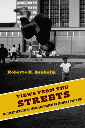 Views from the Streets: The Transformation of Gangs and Violence on Chicago's South Side by Roberto Aspholm 9780231187732