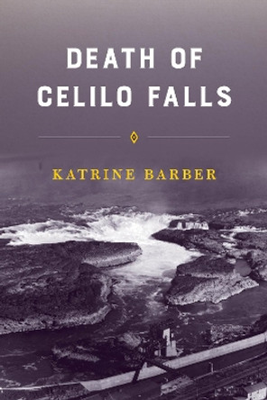 Death of Celilo Falls by Katrine Barber 9780295985466