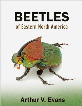 Beetles of Eastern North America by Arthur V. Evans 9780691133041