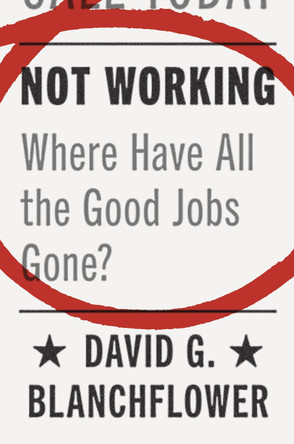 Not Working: Where Have All the Good Jobs Gone? by David G. Blanchflower 9780691181240