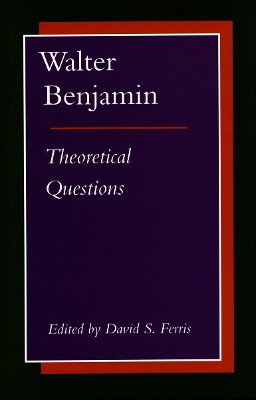 Walter Benjamin: Theoretical Questions by David S. Ferris 9780804725705