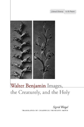 Walter Benjamin: Images, the Creaturely, and the Holy by Sigrid Weigel 9780804780599