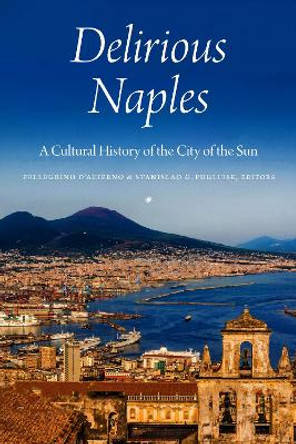 Delirious Naples: A Cultural History of the City of the Sun by Pellegrino D'Acierno 9780823279982