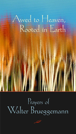 Awed to Heaven, Rooted in Earth: Prayers of Walter Brueggemann by Edwin Brueggemann 9780800634605