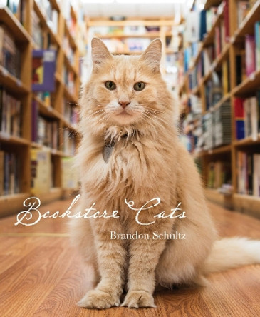 Bookstore Cats by Brandon Schultz