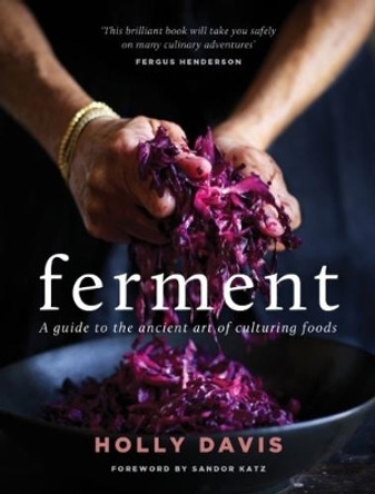 Ferment: A Practical Guide to the Ancient Art of Making Cultured Foods by Holly Davis