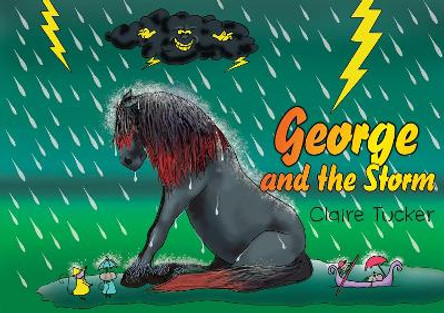 George and the Storm by Claire Tucker 9780620871921