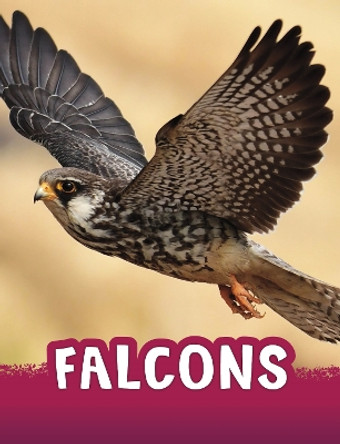 Falcons by Jaclyn Jaycox 9781398243958