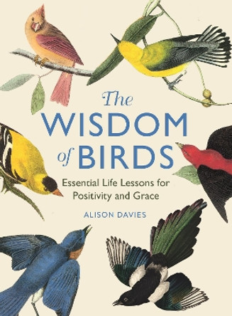 The Wisdom of Birds: Essential Life Lessons for Positivity and Grace by Alison Davies 9781915751140