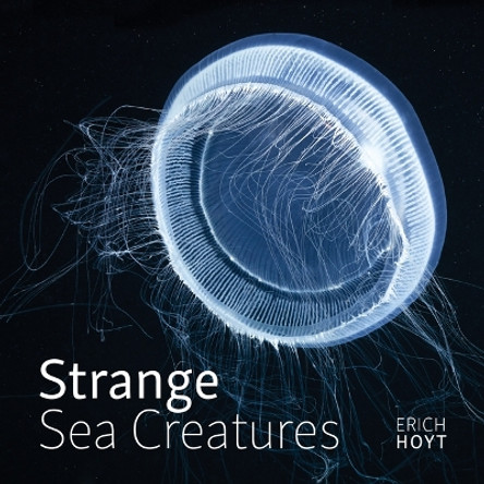 Strange Sea Creatures by Erich Hoyt 9780228104674