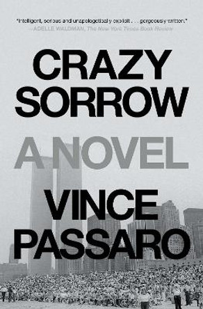 Crazy Sorrow by Vince Passaro