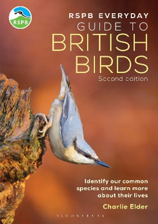The RSPB Everyday Guide to British Birds: Identify our common species and learn more about their lives by Charlie Elder 9781399413275