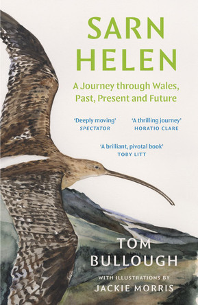 Sarn Helen: A Journey Through Wales, Past, Present and Future by Tom Bullough 9781783788118