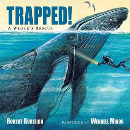 Trapped! A Whale's Rescue by Robert Burleigh 9781580895583