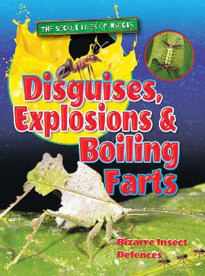 Disguises, Explosions and Boiling Farts: 2018 by Ruth Owen 9781788560030