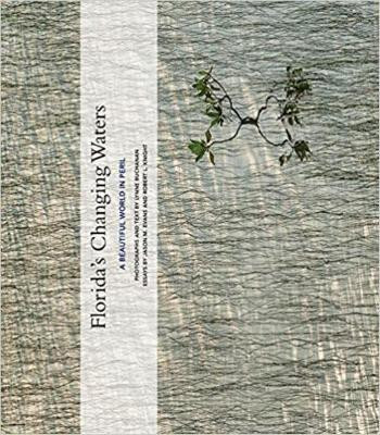 Florida'S Changing Waters: A Beautiful World in Peril by Lynne Buchanan 9781938086618