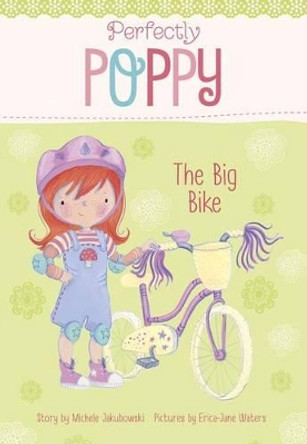 The Big Bike by Michele Jakubowski 9781479558018