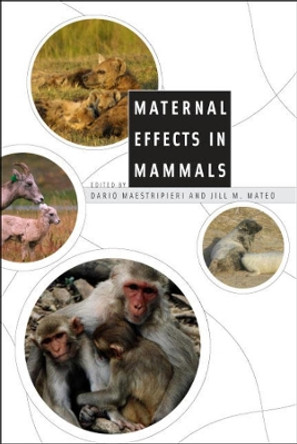 Maternal Effects in Mammals by Dario Maestripieri 9780226501192