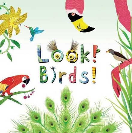 Look! Birds! by Stephanie Calmenson 9781499801149