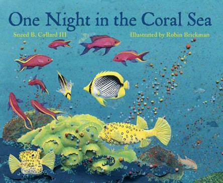 One Night in the Coral Sea by Sneed B. Collard, III 9781570913907