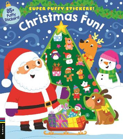 Christmas Fun! by Maggie Fischer 9781780559810