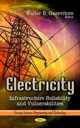 Electricity: Infrastructure Reliability & Vulnerabilities by Walter B. Guerritore 9781624176005