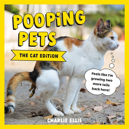 Pooping Cats: Hilarious Snaps of Kitties Taking a Dump by Charlie Ellis