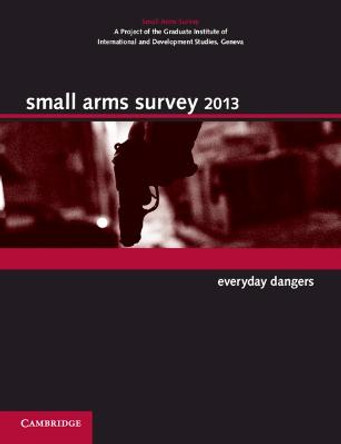 Small Arms Survey 2013: Everyday Dangers by Small Arms Survey, Geneva