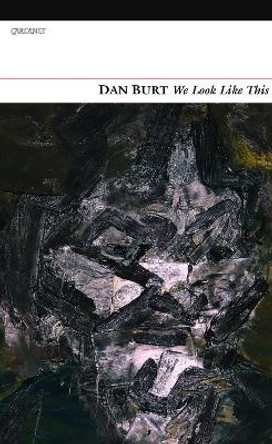 We Look Like This by Dan Burt 9781847771322