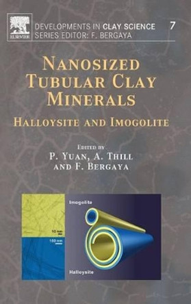 Nanosized Tubular Clay Minerals: Halloysite and Imogolite: Volume 7 by Yuanyuan Peng 9780081002933