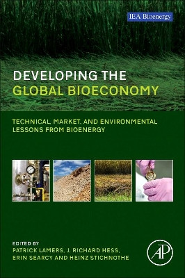Developing the Global Bioeconomy: Technical, Market, and Environmental Lessons from Bioenergy by Patrick Lamers 9780128051658