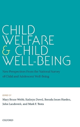 Child Welfare and Child Well-Being: New Perspectives From the National Survey of Child and Adolescent Well-Being by Mary Bruce Webb 9780195398465