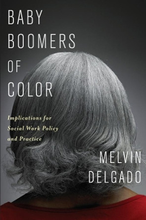 Baby Boomers of Color: Implications for Social Work Policy and Practice by Melvin Delgado 9780231163002