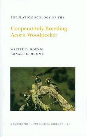 Population Ecology of the Cooperatively Breeding Acorn Woodpecker. (MPB-24), Volume 24 by Walter D. Koenig 9780691084640