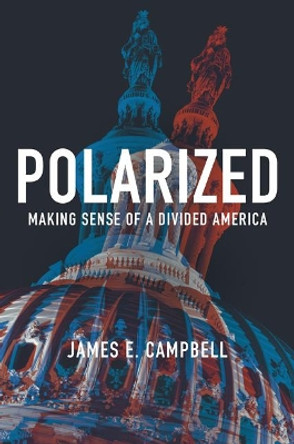 Polarized: Making Sense of a Divided America by James E. Campbell 9780691180861