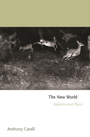 The New World: Infinitesimal Epics by Anthony Carelli 9780691218809