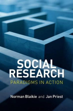 Social Research: Paradigms in Action by Norman Blaikie 9780745671840