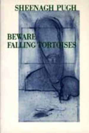 Beware Falling Tortoises by Sheenagh Pugh 9780907476702