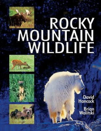 Rocky Mountain Wildlife: Ecology, Behavior, Identification & Distribution by Don Blood 9780919654372