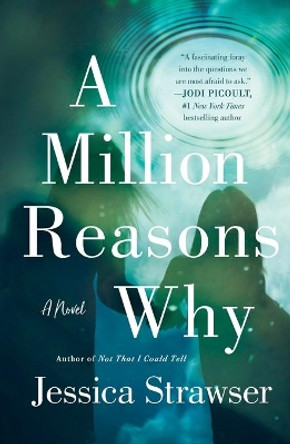 A Million Reasons Why by Jessica Strawser 9781250620484