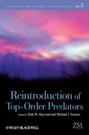Reintroduction of Top-Order Predators by Matt W. Hayward 9781405176804