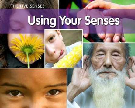 Using Your Senses by Rebecca Rissman 9781432954956