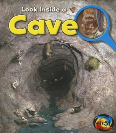 Cave by Richard Spilsbury 9781432972011