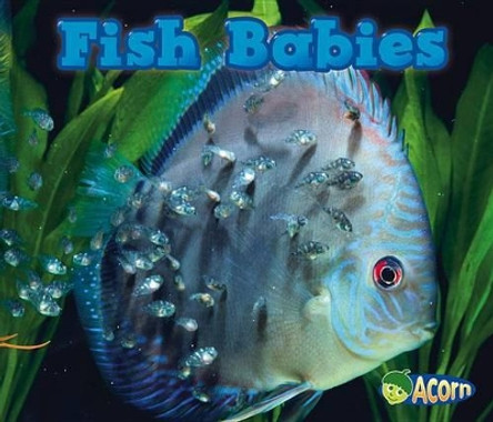 Fish Babies (Animal Babies) by Catherine Veitch 9781432984182