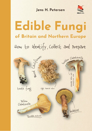 Edible Fungi of Britain and Northern Europe: How to Identify, Collect and Prepare by Jens H. Petersen